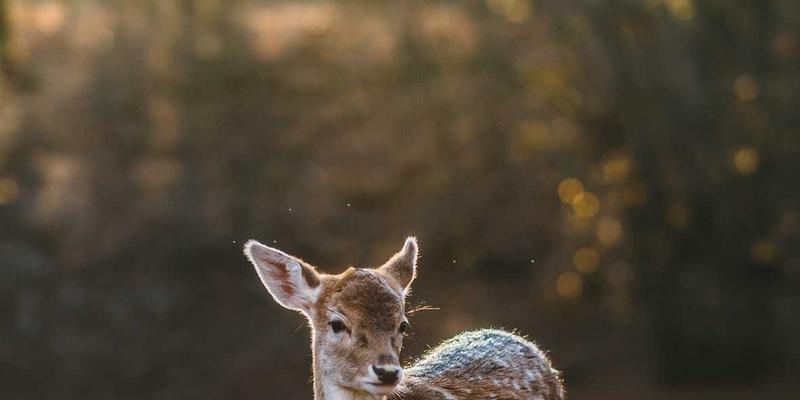 5G赋能企业转型：解锁高效服务器部署与网络安全实战教程