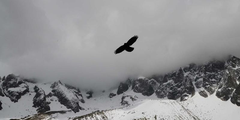 Wi-Fi 6/6E技术深度解析:从理论到实践,如何彻底释放你的无线网络潜能(附资源与教程)