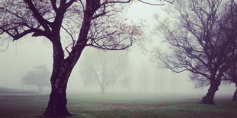 eBPF内核革命:从服务器网络观测到实战安全防护的深度教程