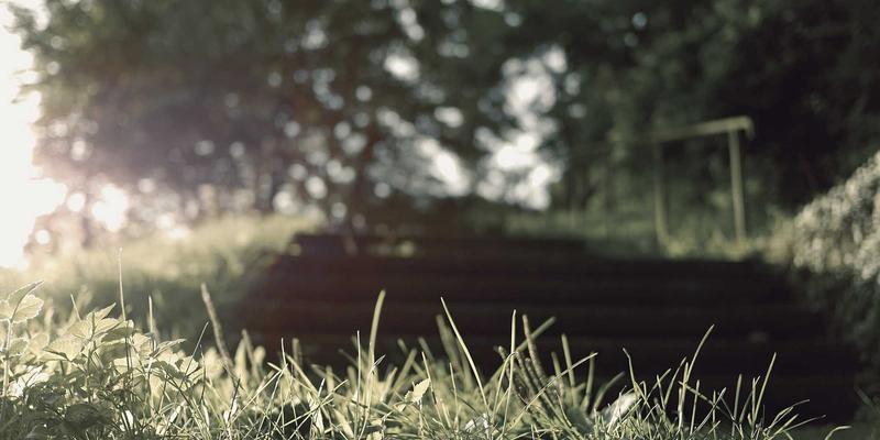 从封闭到开放：基于SONiC与白盒交换机构建下一代可编程数据中心网络实战教程