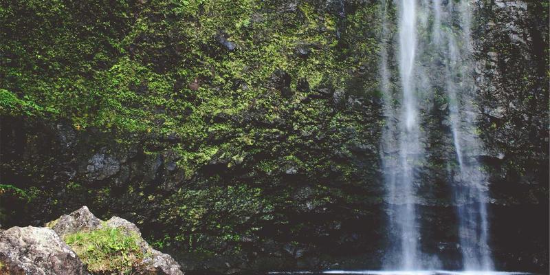 从零到一：网络安全与服务器部署实战入门指南